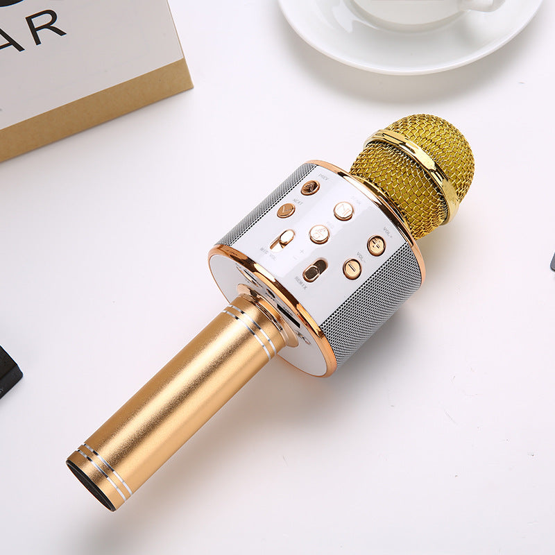 Wireless Bluetooth Karaoke Microphone Speaker for Kids Adults